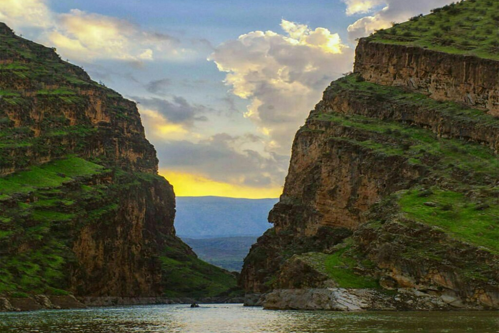 بدره