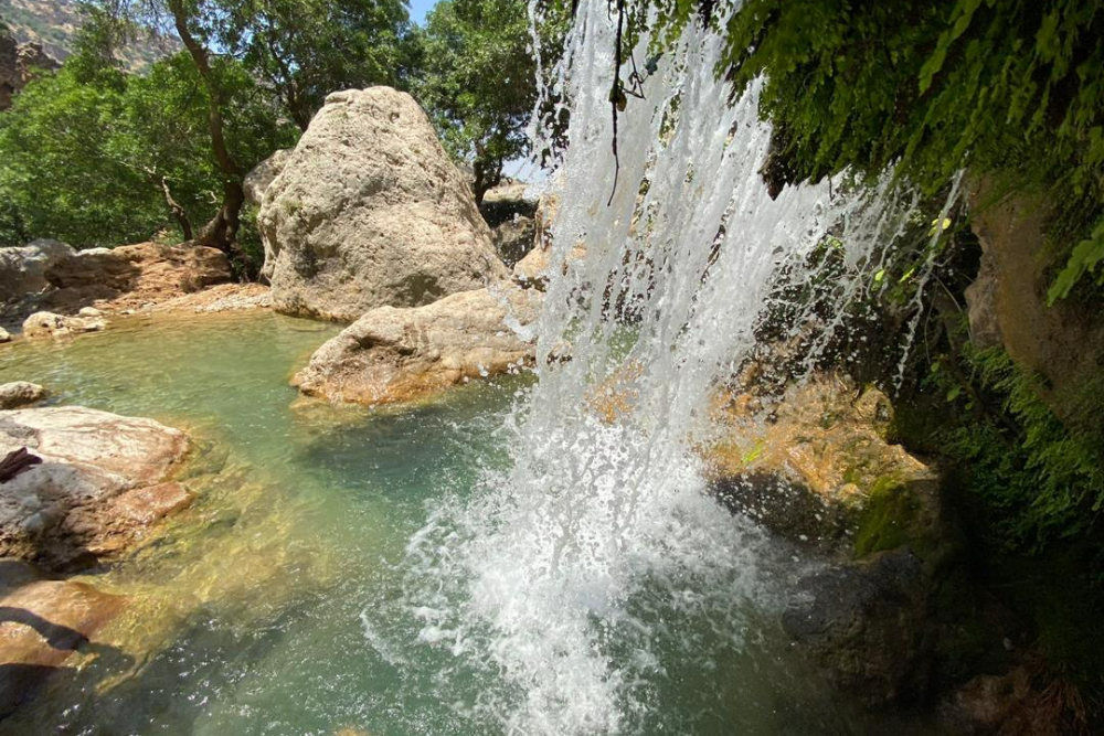 بدره