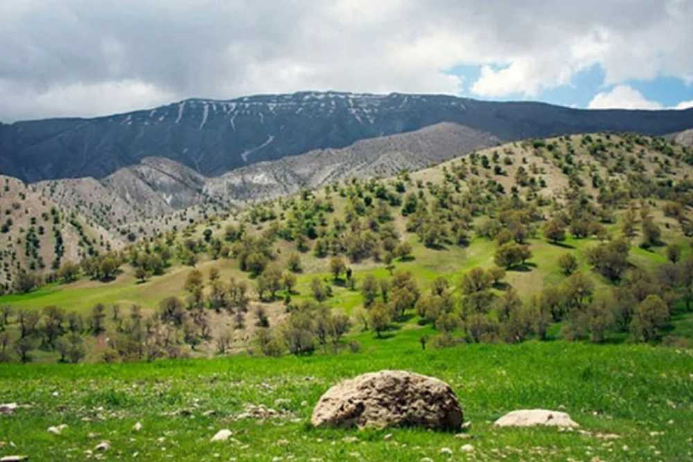 نور