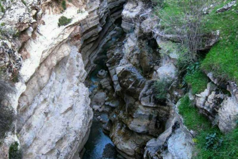 نور