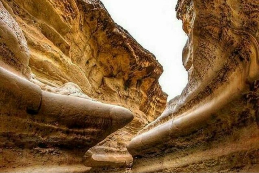 نور