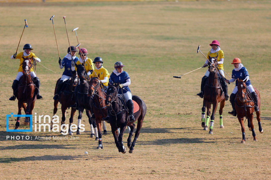 لیگ ملی چوگان زنان