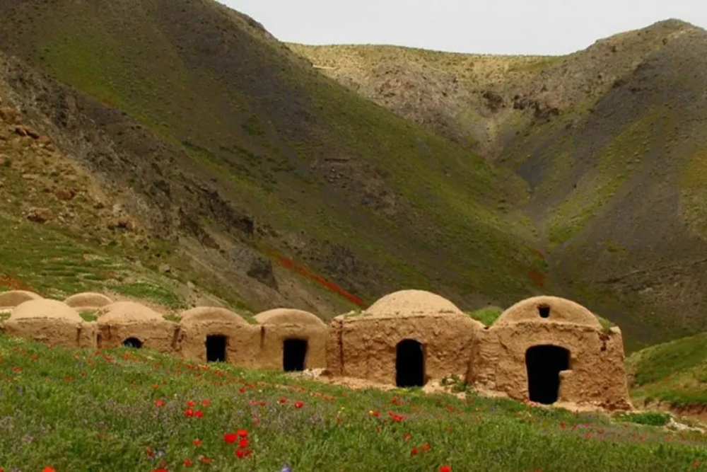 %d8%aa%d8%b1%d8%a8%d8%aa+%d8%ac%d8%a7%d9%85