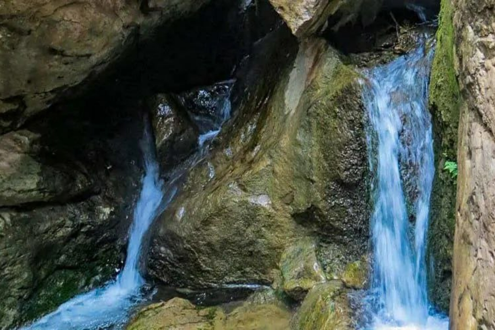 %d8%aa%d8%b1%d8%a8%d8%aa+%d8%ac%d8%a7%d9%85