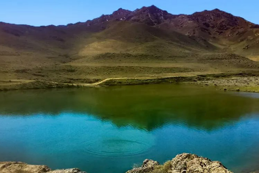 %d8%aa%d8%a7%db%8c%d8%a8%d8%a7%d8%af