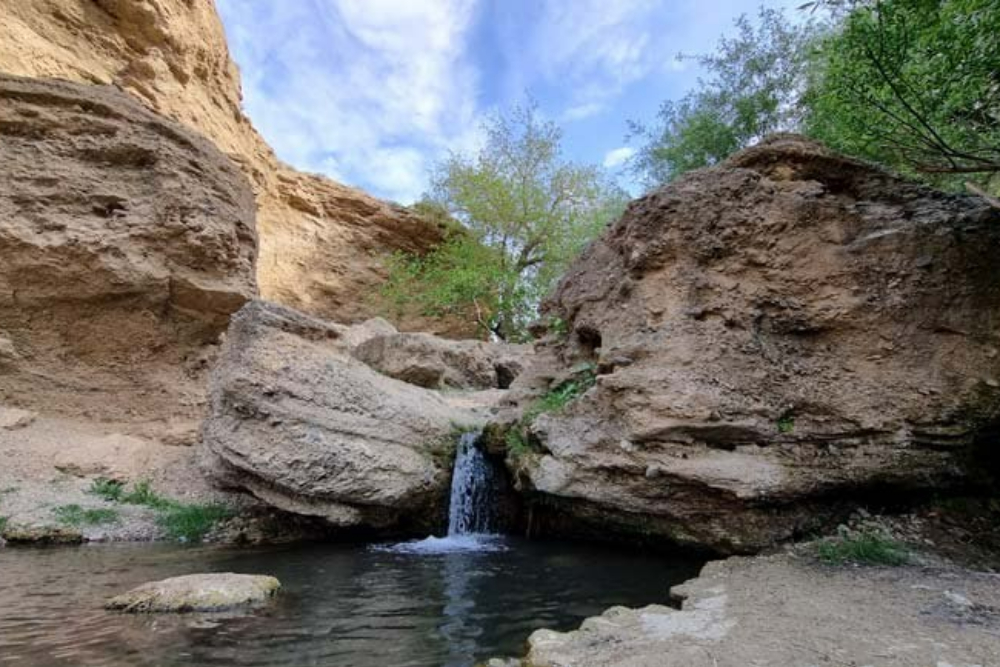 %d8%aa%d9%81%d8%b1%d8%b4