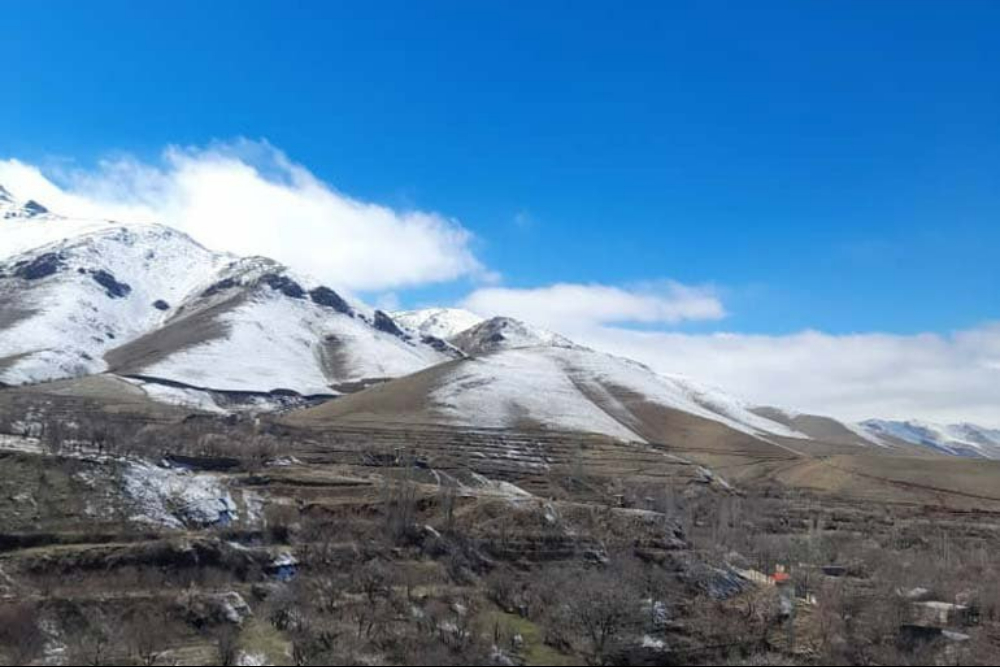 %d8%aa%d9%81%d8%b1%d8%b4