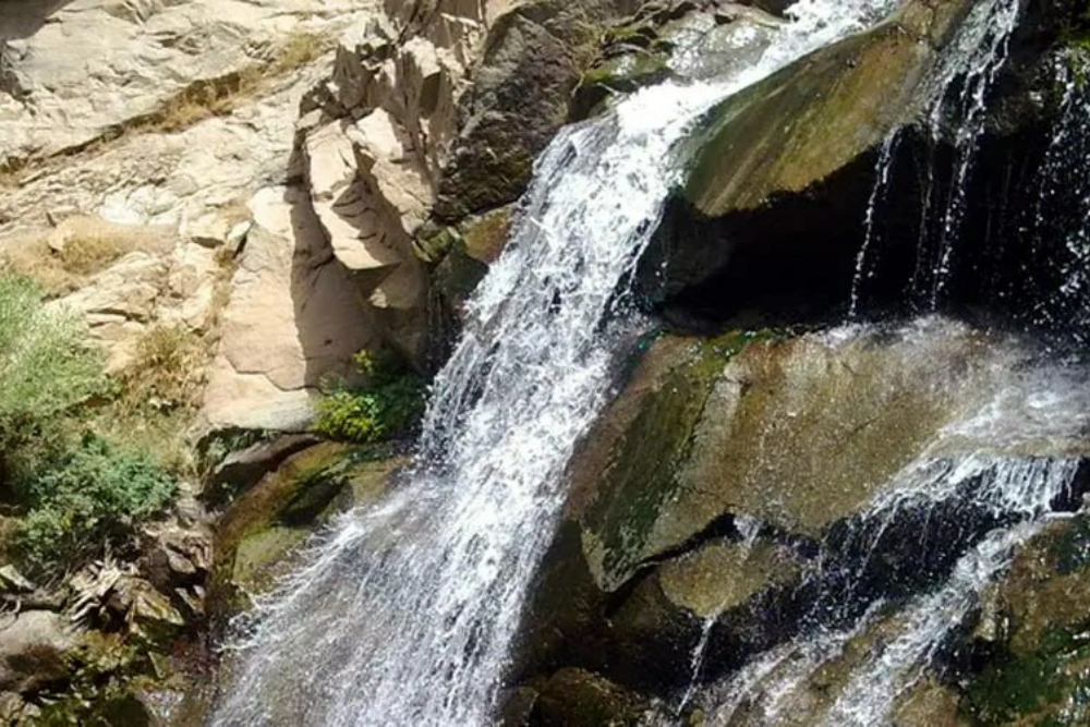 %d8%aa%d9%88%db%8c%d8%b3%d8%b1%da%a9%d8%a7%d9%86