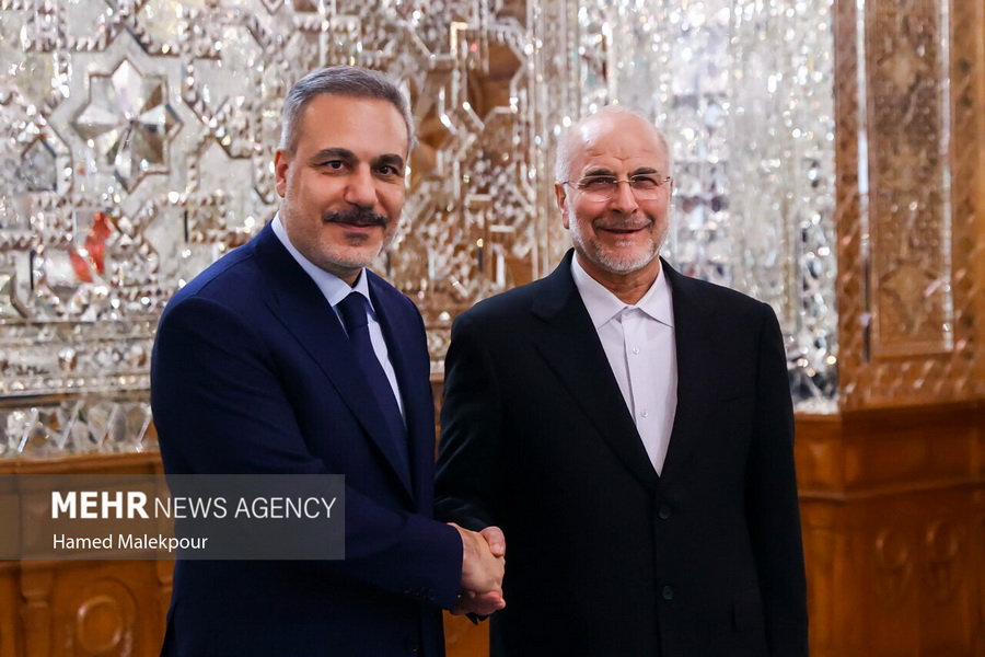 دیدار وزیر امور خارجه ترکیه با رئیس مجلس شورای اسلامی