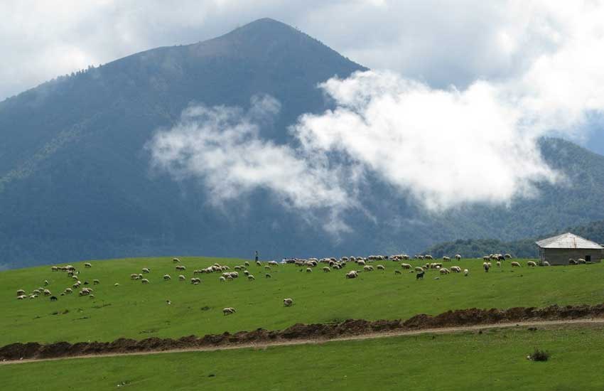 %d8%aa%d8%a7%d9%84%d8%b4