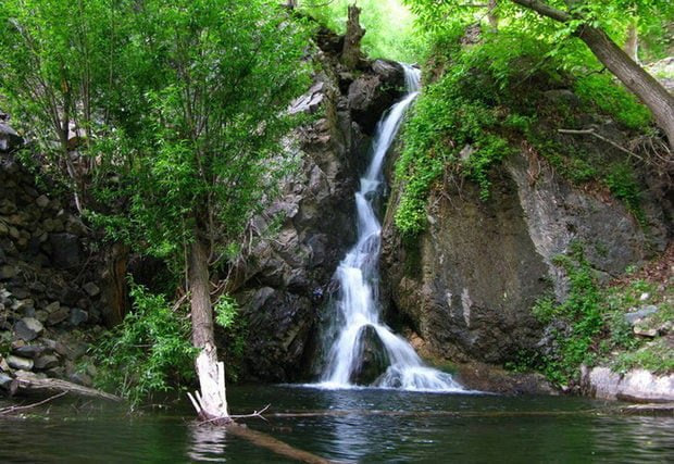 %da%86%d9%86%d8%a7%d8%b1%d8%a7%d9%86