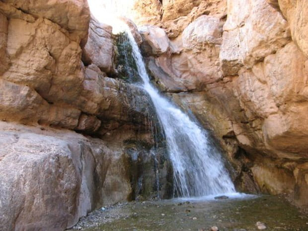 %da%86%d9%86%d8%a7%d8%b1%d8%a7%d9%86