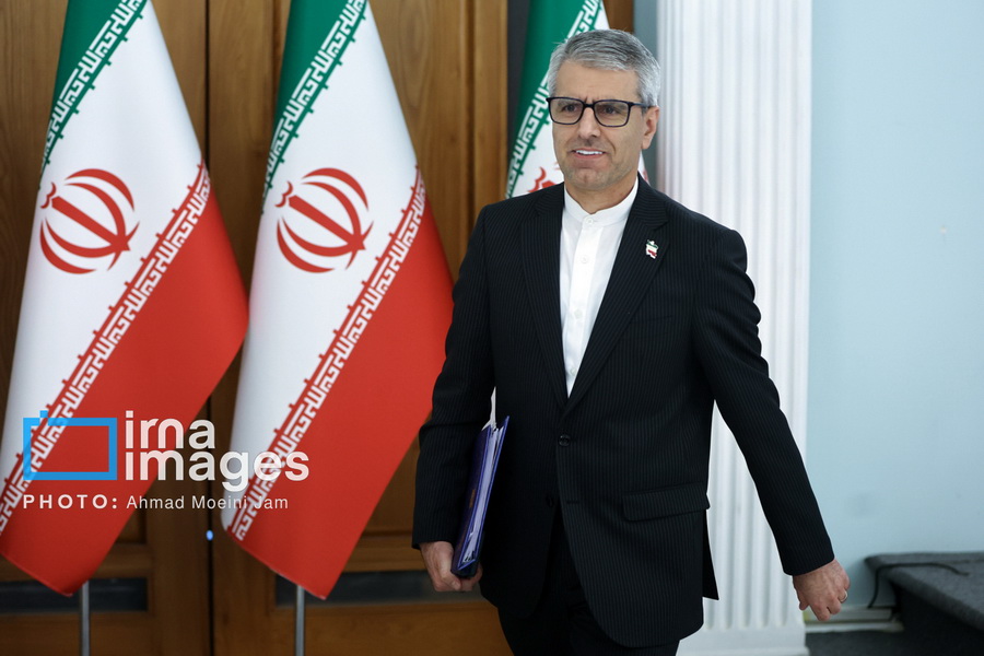 نشست خبری سخنگوی وزارت امور خارجه