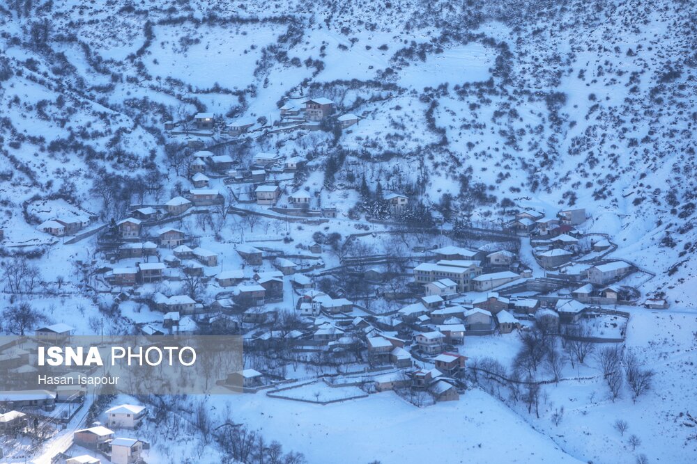 جنگل های هیرکانی در آغوش زمستان