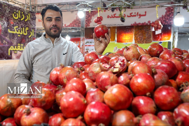 جشنواره انار در مصلای تهران